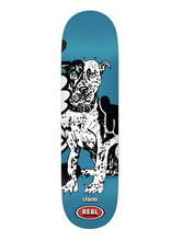 Load image into Gallery viewer, Real X Verdy Skateshop Day Limited Release Ishod &amp; Vick (Set of 2) Decks 8.25 and 8.5
